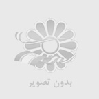 «شبکه های اجتماعی به ابزار دیپلماسی تبدیل شده اند»